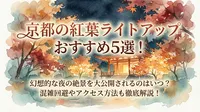 京都の紅葉ライトアップおすすめ5選！幻想的な夜の絶景を大公開されるのはいつ？混雑回避やアクセス方法も徹底解説！