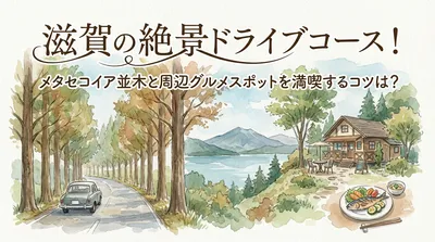 滋賀の絶景ドライブコース！メタセコイア並木と周辺グルメスポットを満喫するコツは？