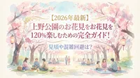 【2026年最新】上野公園のお花見を120%楽しむための完全ガイド！見頃や混雑回避は？