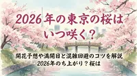 2026年の東京の桜はいつ咲く？開花予想や満開日と混雑回避のコツを解説？
