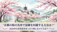 京都の桜の名所で混雑を回避する方法は？2026年のお花見をゆったり楽しむコツとは？