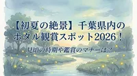 【初夏の絶景】千葉県内のホタル観賞スポット2026！見頃の時期や鑑賞のマナーは？