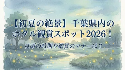 【初夏の絶景】千葉県内のホタル観賞スポット2026！見頃の時期や鑑賞のマナーは？