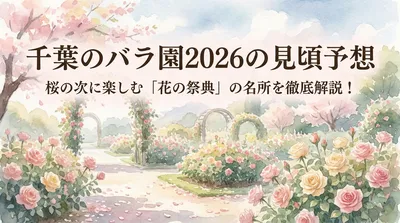 千葉のバラ園2026の見頃予想はいつ？桜の次に楽しむ「花の祭典」の名所を徹底解説！