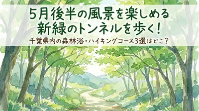 5月後半の風景を楽しめる新緑のトンネルを歩く！千葉県内の森林浴・ハイキングコース3選はどこ？