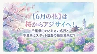 【6月の花】は桜からアジサイへ！千葉県内のあじさい名所と写真映えスポット調査の最新結果は？