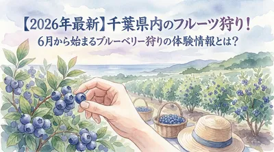 【2026年最新】千葉県内のフルーツ狩り！6月から始まるブルーベリー狩りの体験情報とは？
