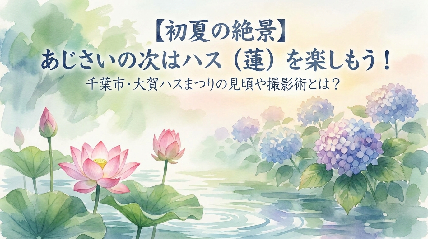 【初夏の絶景】あじさいの次はハス（蓮）を楽しもう！千葉市・大賀ハスまつりの見頃や撮影術とは？