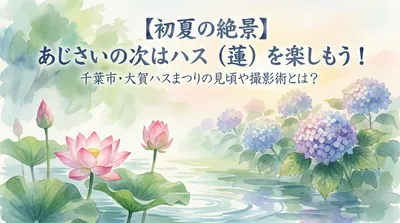 【初夏の絶景】あじさいの次はハス（蓮）を楽しもう！千葉市・大賀ハスまつりの見頃や撮影術とは？