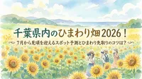 千葉県内のひまわり畑2026！7月から見頃を迎えるスポット予測とひまわり先取りのコツは？